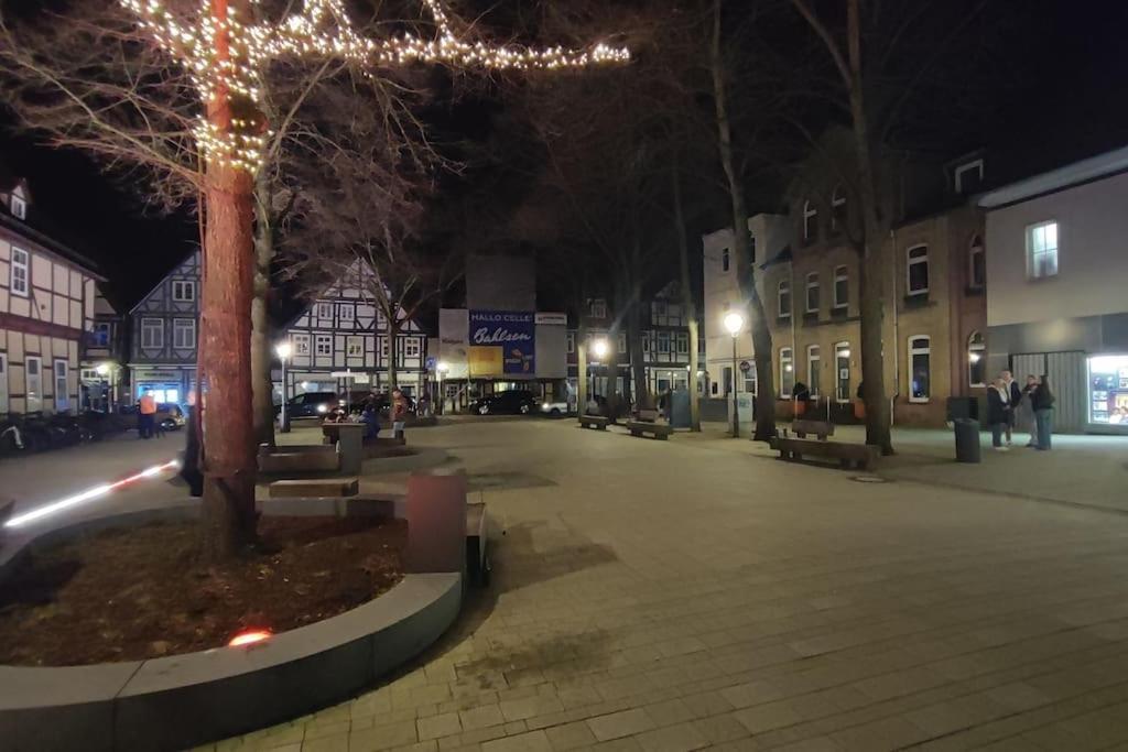 Schlossblick Celle